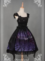 Butterfly Cemetery Jumperskirt Butterfly Cemetery Jumperskirt