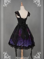 Butterfly Cemetery Jumperskirt Butterfly Cemetery Jumperskirt