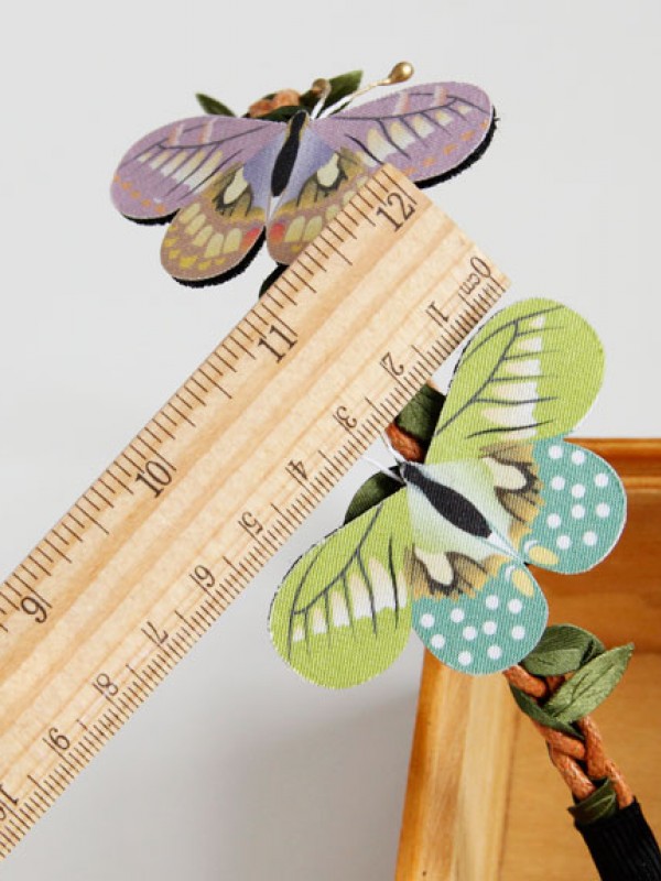 Butterfly KC Butterfly KC