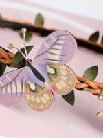 Butterfly KC Butterfly KC