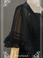 Corset Overskirt Corset Overskirt