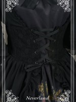 Corset Overskirt