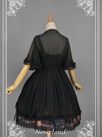 Corset Overskirt Corset Overskirt
