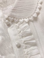 Elegant lace long sleeved blouse