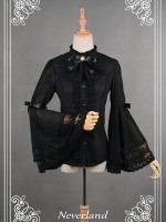 Ice Prism Chiffon Long Trumpet Sleeve Blouse Ice Prism Chiffon Long Trumpet Sleeve Blouse