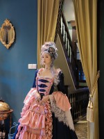 Mrs Pompadour Elegant Vintage Gown One-piece
