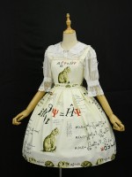 +Schrödinger's Cat+ Jumperskirt100 +Schrödinger's Cat+ Jumperskirt100