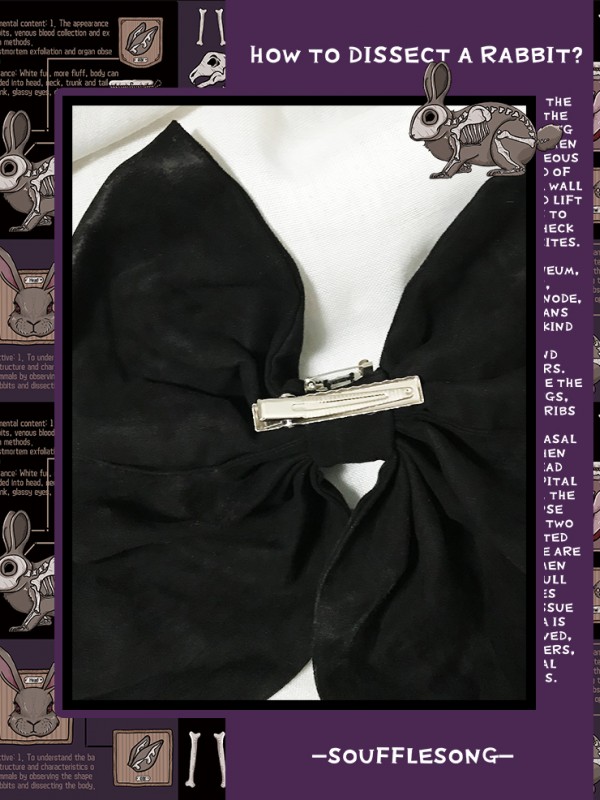 Dissecting Bunny Gothic Jumperskirt Type 2 Dissecting Bunny Gothic Jumperskirt Type 2