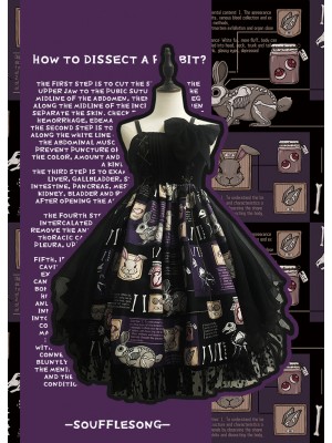 Dissecting Bunny Gothic Jumperskirt Type 2