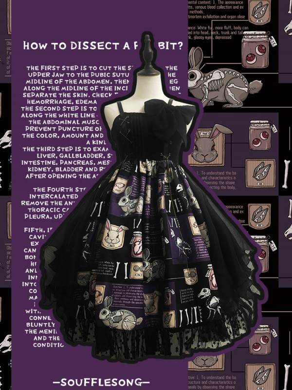Dissecting Bunny Gothic Jumperskirt Type 2 Dissecting Bunny Gothic Jumperskirt Type 2