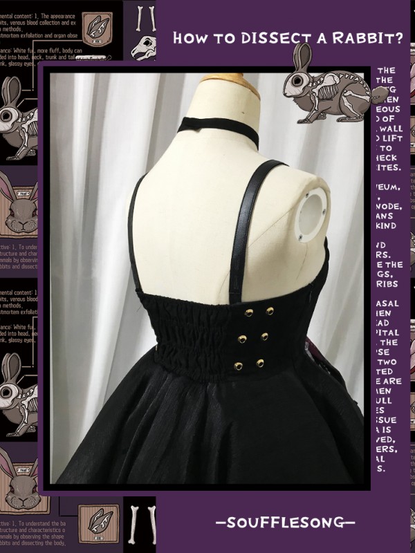 Dissecting Bunny Gothic Jumperskirt Type 2 Dissecting Bunny Gothic Jumperskirt Type 2