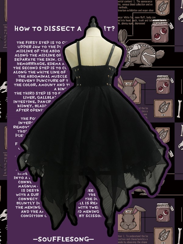 Dissecting Bunny Gothic Jumperskirt Type 2 Dissecting Bunny Gothic Jumperskirt Type 2