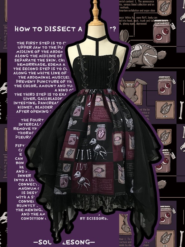 Dissecting Bunny Gothic Jumperskirt Type 2 Dissecting Bunny Gothic Jumperskirt Type 2