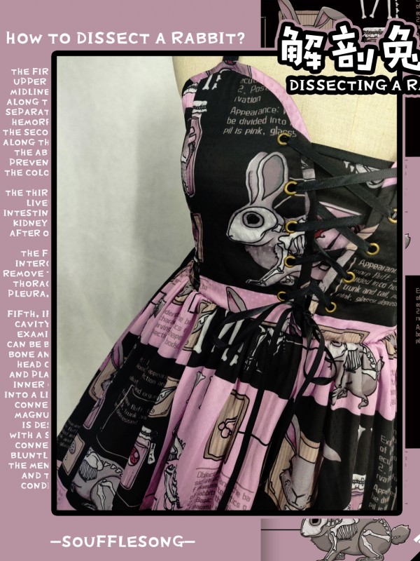 Dissecting Bunny Gothic Jumperskirt