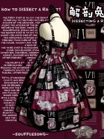 Dissecting Bunny Gothic Jumperskirt Dissecting Bunny Gothic Jumperskirt