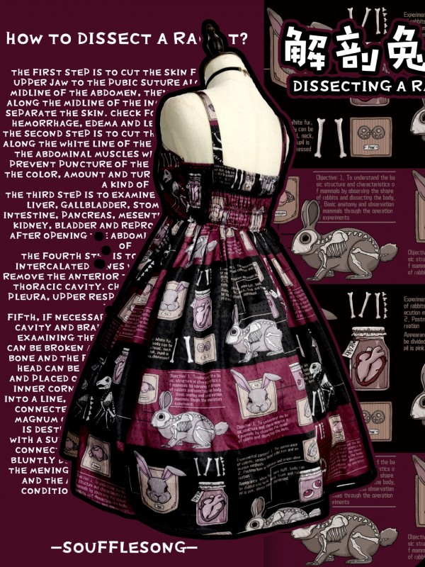 Dissecting Bunny Gothic Jumperskirt