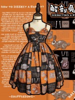 Dissecting Bunny Gothic Jumperskirt Dissecting Bunny Gothic Jumperskirt