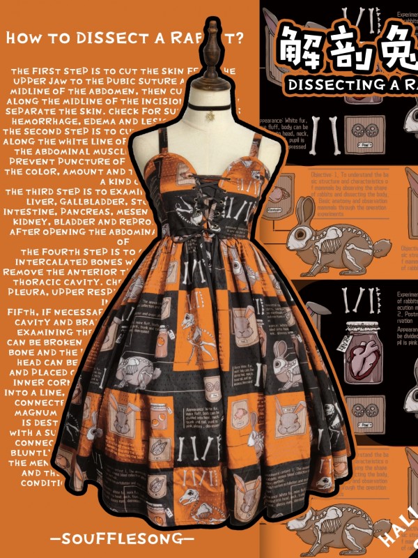 Dissecting Bunny Gothic Jumperskirt Dissecting Bunny Gothic Jumperskirt