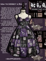 Dissecting Bunny Gothic Jumperskirt Dissecting Bunny Gothic Jumperskirt