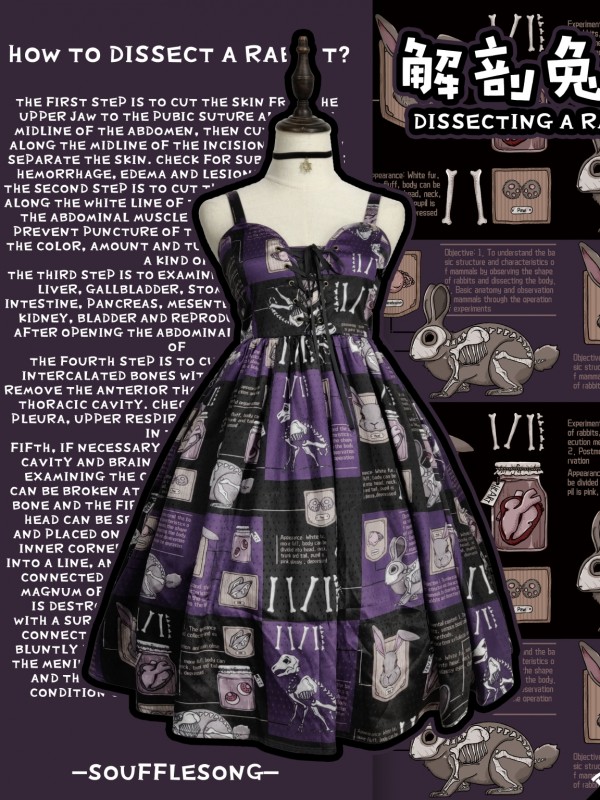 Dissecting Bunny Gothic Jumperskirt