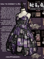 Dissecting Bunny Gothic Jumperskirt Dissecting Bunny Gothic Jumperskirt