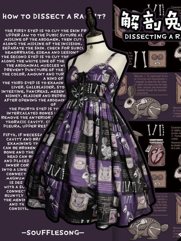 Dissecting Bunny Gothic Jumperskirt Dissecting Bunny Gothic Jumperskirt