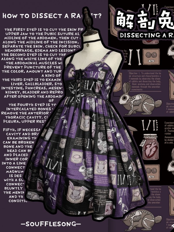 Dissecting Bunny Gothic Jumperskirt