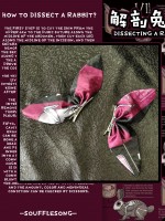 Dissecting Bunny Gothic Jumperskirt