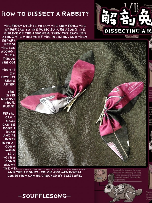 Dissecting Bunny Gothic Jumperskirt Dissecting Bunny Gothic Jumperskirt