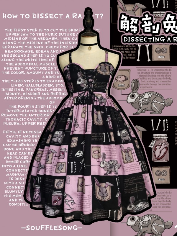 Dissecting Bunny Gothic Jumperskirt