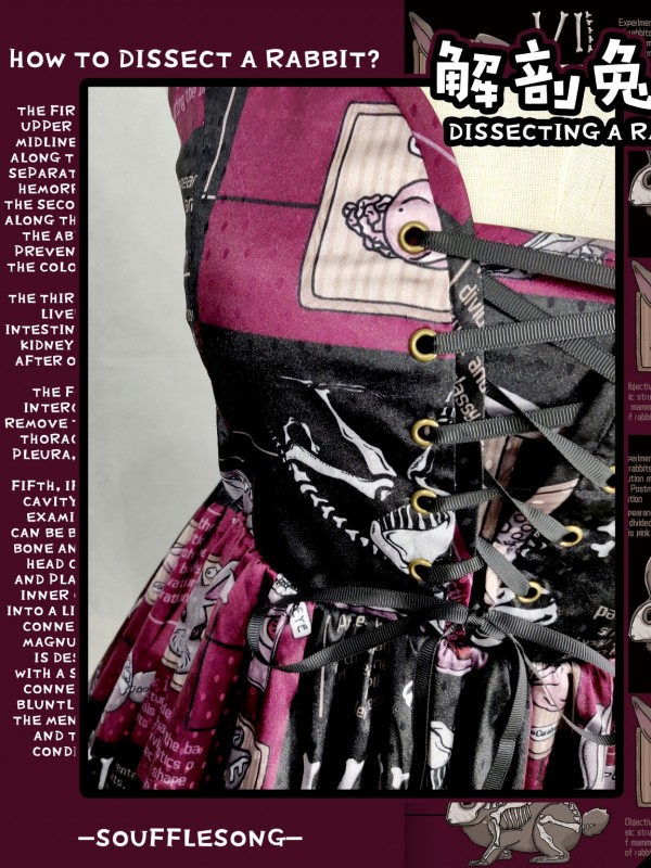 Dissecting Bunny Gothic Jumperskirt