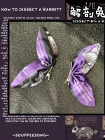 Dissecting Bunny Gothic Jumperskirt Dissecting Bunny Gothic Jumperskirt
