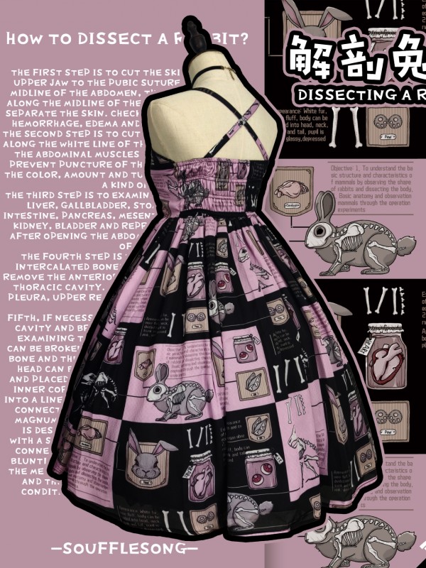 Dissecting Bunny Gothic Jumperskirt Dissecting Bunny Gothic Jumperskirt