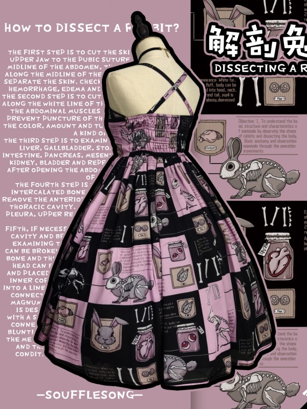 Dissecting Bunny Gothic Jumperskirt