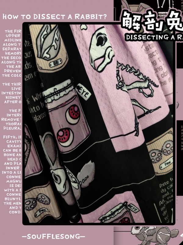 Dissecting Bunny Gothic Jumperskirt Dissecting Bunny Gothic Jumperskirt