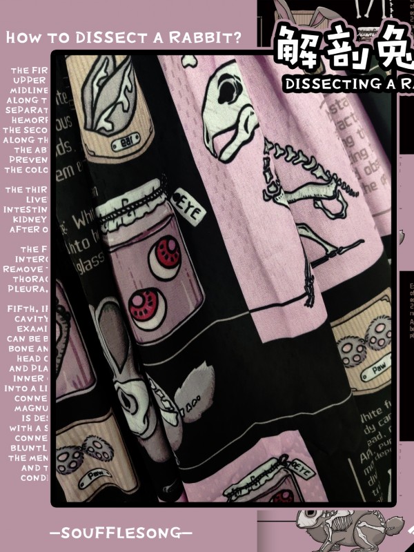 Dissecting Bunny Gothic Jumperskirt