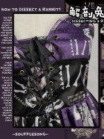 Dissecting Bunny Gothic Jumperskirt Dissecting Bunny Gothic Jumperskirt