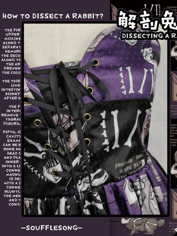 Dissecting Bunny Gothic Jumperskirt