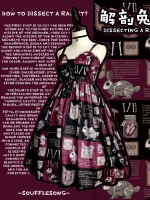 Dissecting Bunny Gothic Jumperskirt Dissecting Bunny Gothic Jumperskirt