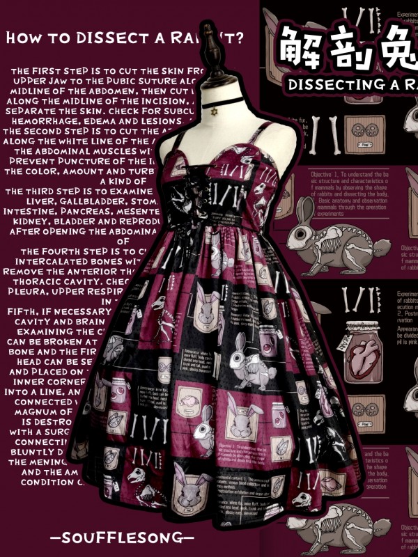 Dissecting Bunny Gothic Jumperskirt