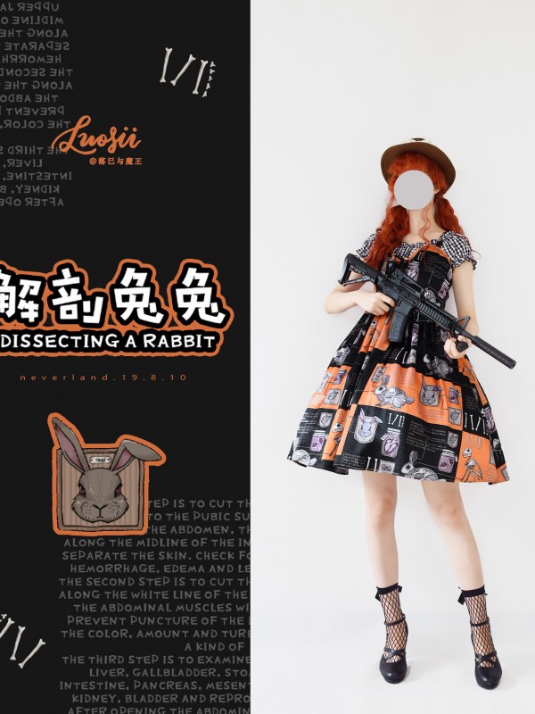 Dissecting Bunny Gothic Jumperskirt