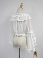 Chiffon Long Trumpet Sleeve Short Blouse Chiffon Long Trumpet Sleeve Short Blouse